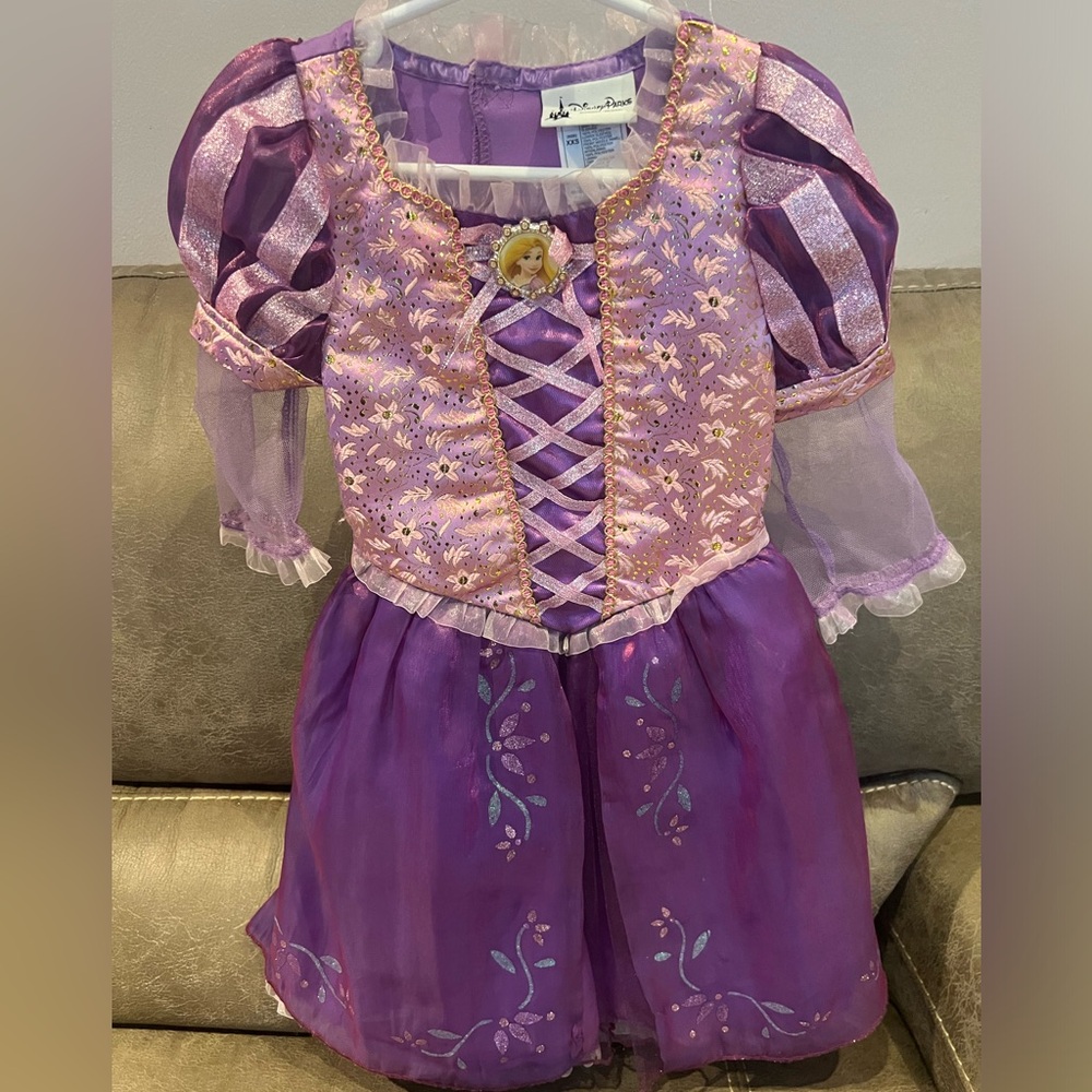 Disney Rapunzel Costume